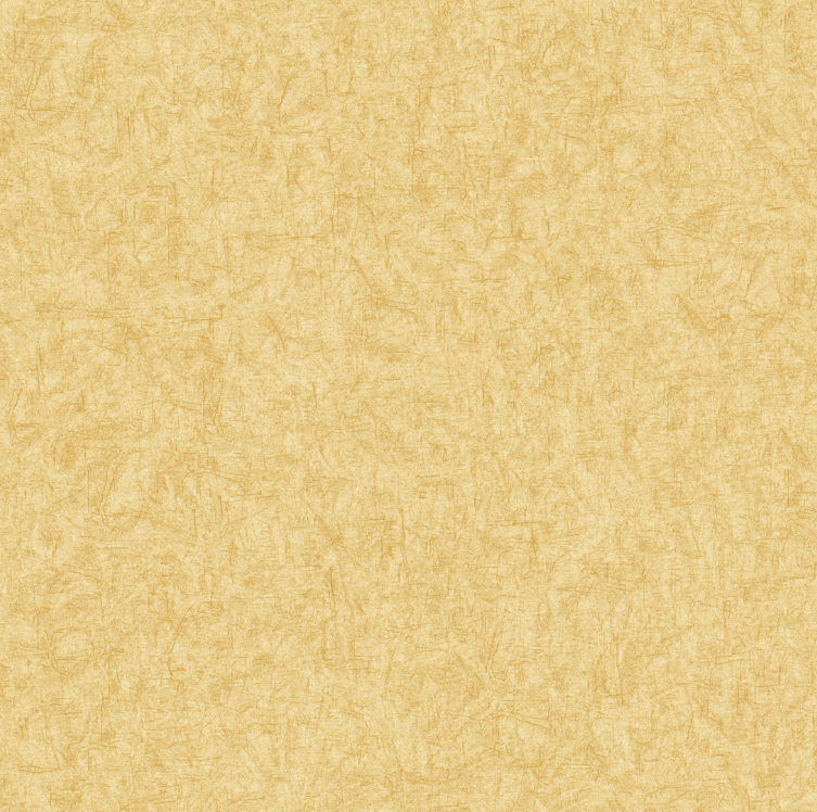 BF-MS3104.jpg