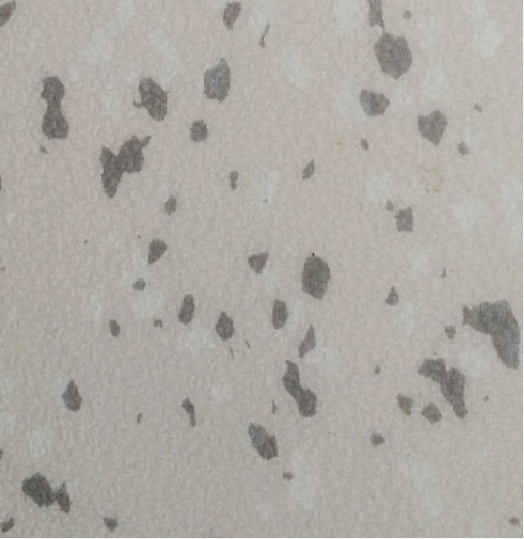 BF-DR1401.jpg
