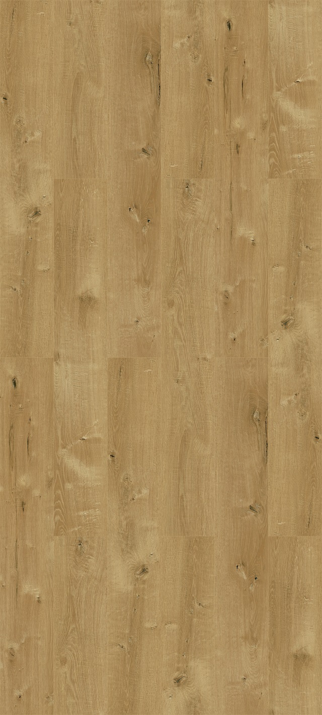 JM-W1003.jpg